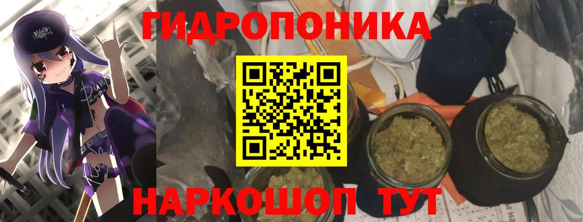 Сердобск  Бошки марихуана планчик  Каннабис планчик  Вход с VPN 